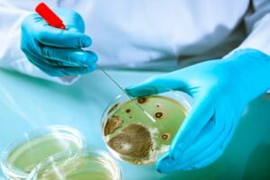 Hypochlorous Acid for Healthcare