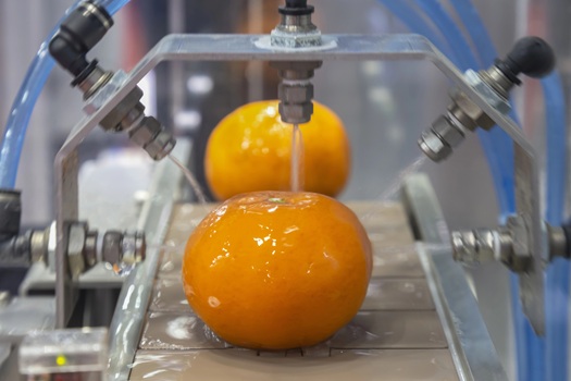 Biofilm Removal in Food Processing Water Systems Using Hypochlorous Acid (HOCl)